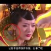 49图库下载安装绿色苹果
